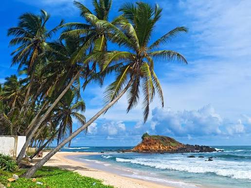 5-Day Highlights of Ceylon